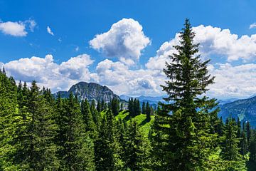 View of the Alps from Tegelberg near Schwangau
