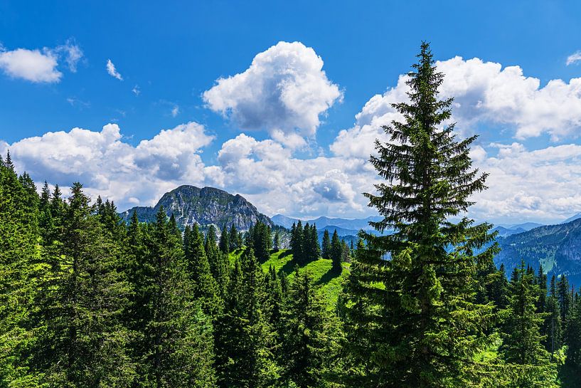 View of the Alps from Tegelberg near Schwangau by Rico Ködder