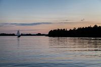 Evening at the Biesbosch