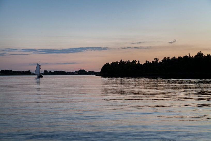 Avond in de Biesbosch von Nel Diepstraten