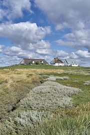 Hamburg Hallig,North Sea,North Frisia,Germany by Peter Eckert