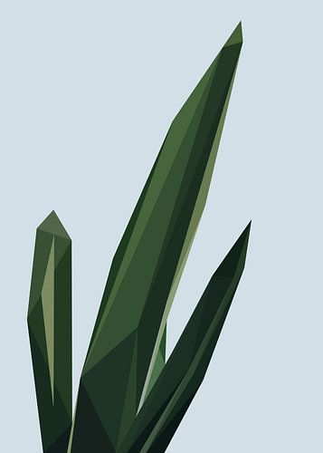 Sansevieria Minimalistisch Abstract Laagpolig