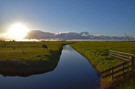 Polder landscape by Erik Buitenhuis