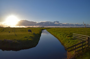 Polderlandschap