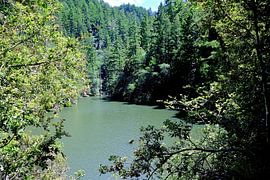 Overlooking part of Alpine Lake by Frank's Awesome Travels