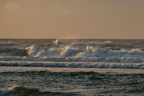 ruige golven op de Noordzee