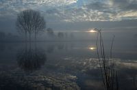 Reflection of trees and clouds in river in winter.