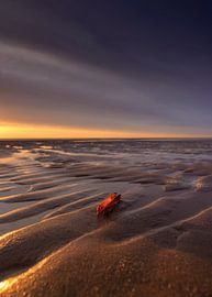 Egmond aan Zee - Un coucher de soleil haut en couleur sur Dan Photo Shaman