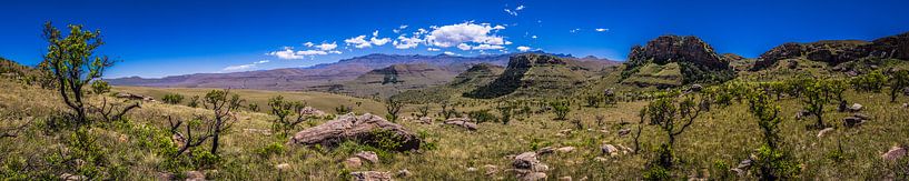 Panorama foto van het Drakensbergen gebergte in Lotheni Zuid-Afrika van Björn Jeurgens