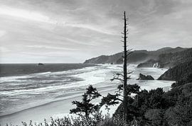 Pacific Beach in Oregon van Gerwin Schadl