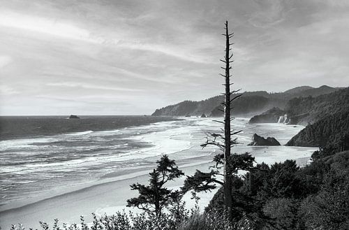 Pacific Beach in Oregon
