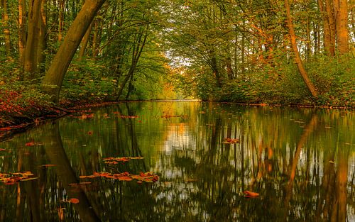 Herfst in Rotterdam.