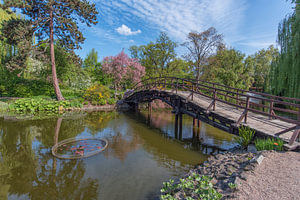 Japanse tuin in Wroclaw polen.