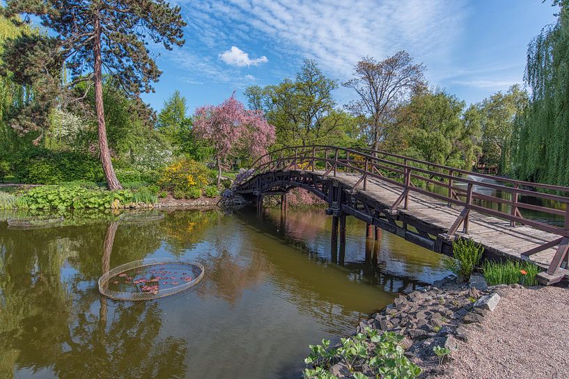 Japanese garden in Wroclaw Poland. by Robinotof