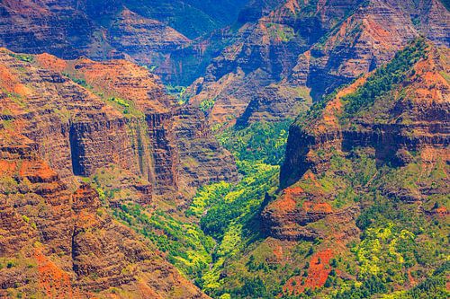 Waimea Canyon - Kauai, Hawaï