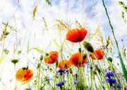 Veldbloemen van Ronnie Reul thumbnail