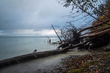 Baltic Sea coast on the island of Moen in Denmark by Rico Ködder