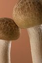 Mocha Mousse Mushrooms: Samen met z'n tweeën van Marjolijn van den Berg thumbnail