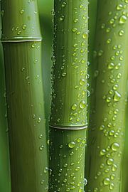 Zen bamboo by Poster Art Shop