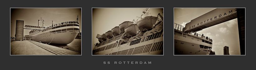 Triptychon der SS Rotterdam von Eddy Westdijk