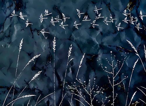 Japan Cranes in flight by Mad Dog Art