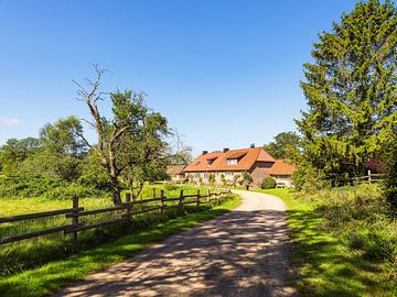 House with road and trees on the island of Kampenwerder in the Schaa by Rico Ködder