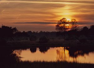 Goldener Sonnenuntergang Kampina