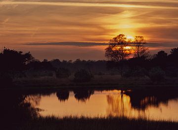 Gouden Zonsondergang Kampina