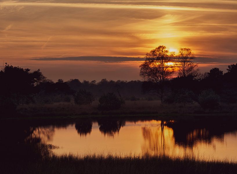 Gouden Zonsondergang Kampina van Ronne Vinkx