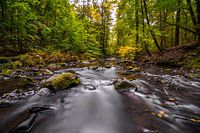 Magical river landscape in Saxony, the Löbauer water 2