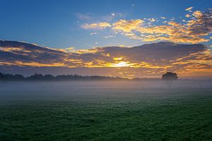 Sonne gegen Nebel II