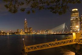 Skyline von Rotterdam vom Wassertaxi-Standplatz aus von Charlotte Bakker