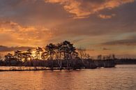 Warm gekleurde zonsopgang in een waterrijk van Tony Vingerhoets thumbnail