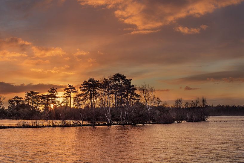 Warm gekleurde zonsopgang in een waterrijk van Tony Vingerhoets