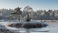 un paysage hivernal avec du gel par ChrisWillemsen Aperçu