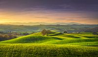 Lente in Toscane, glooiende heuvels en bomen. van Stefano Orazzini thumbnail