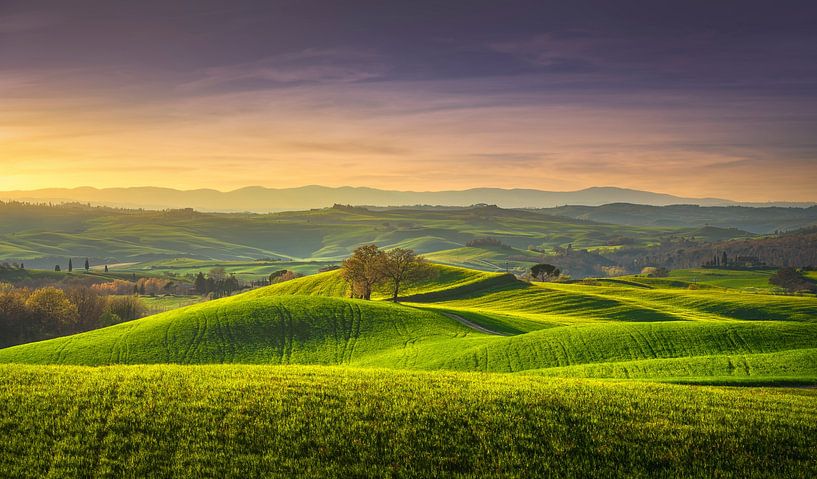 Lente in Toscane, glooiende heuvels en bomen. van Stefano Orazzini