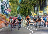De fenomenale zege van Mathieu van der Poel