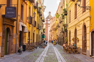 De kleurrijke hoofdstraat van het stadje Bosa (Sardinië) van Just Go Global