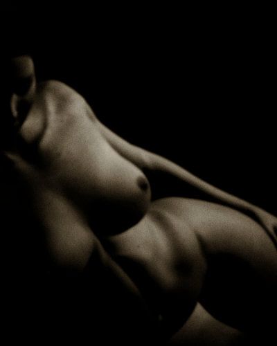 Naked woman - Nude Study of Veerle lying