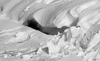 sneeuw sculptuur