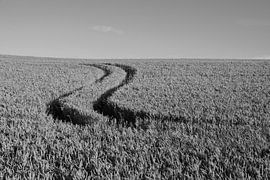 La main de l'agriculteur sur Gelein Jansen