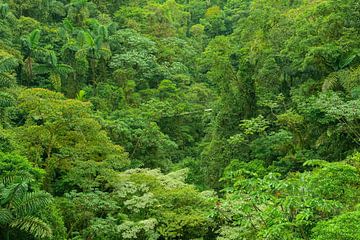 Costa Rica groen van Elles Rijsdijk