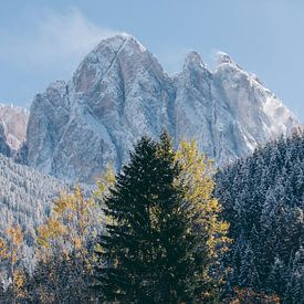 Stan Photography Profilfoto