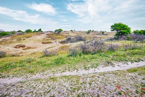Dunes et bassin versant Dunes d'approvisionnement en eau d'Amsterdam
