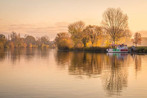Zonsopgang in de uiterwaarden van de Main bij Frankfurt-Höchst