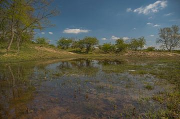 Kennemerduinen, Nord-Holland