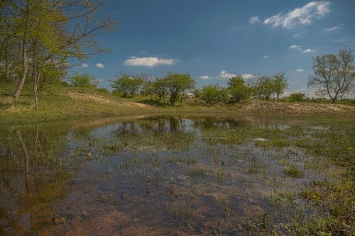 Kennemerduinen, Noord-Holland