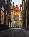 A morning in Den Bosch, in the farmer's sleeve by Goos den Biesen thumbnail