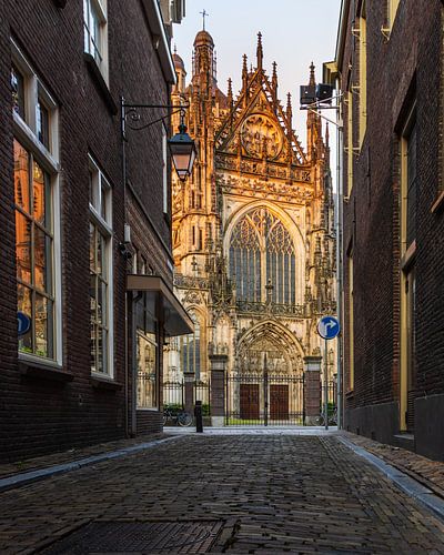 Ein Morgen in Den Bosch, im Ärmel des Landwirts